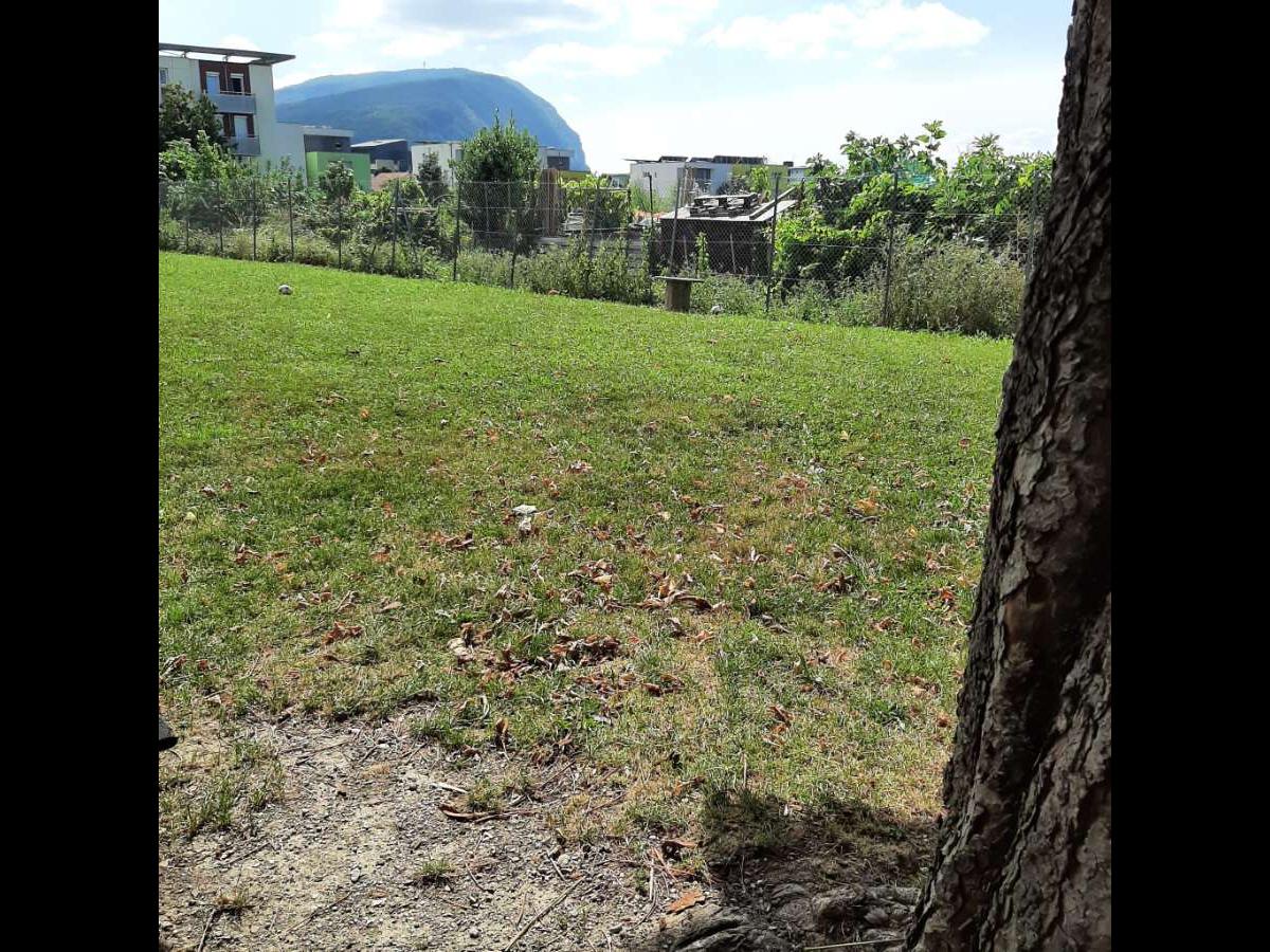 Kolokation Annemasse 156060