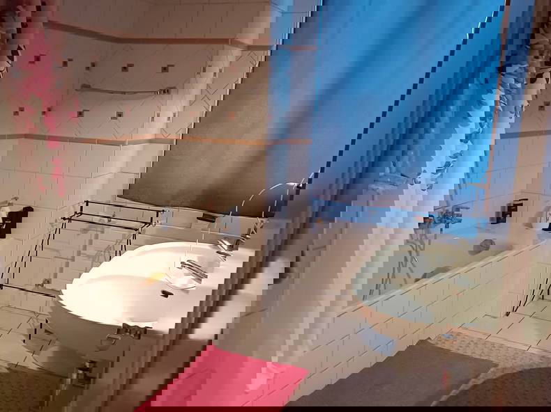 Colocation Corsier-sur-Vevey 540483-2