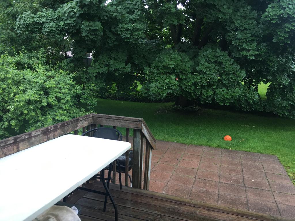 Järjestäminen Québec 259721