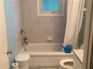 Colocation Québec 259722-4