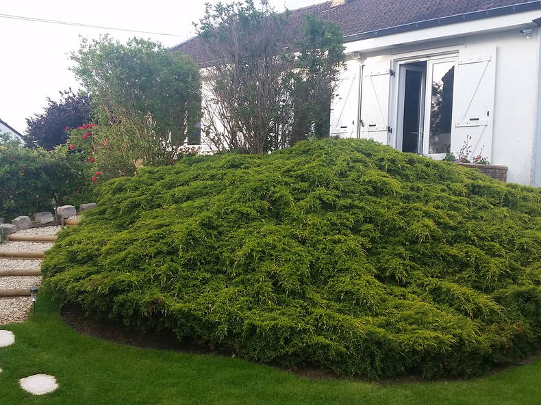 Gastgezin Conflans-Sainte-Honorine 225400-2