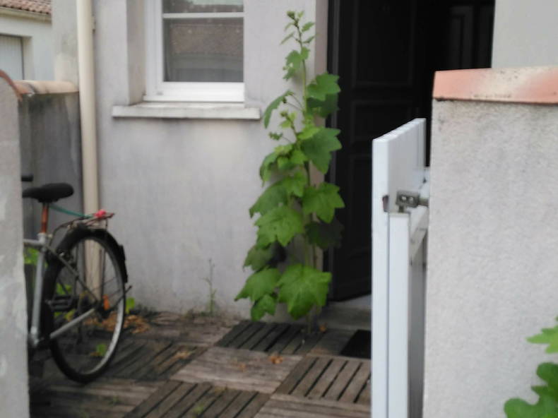 Colocation Aytré 227733-5