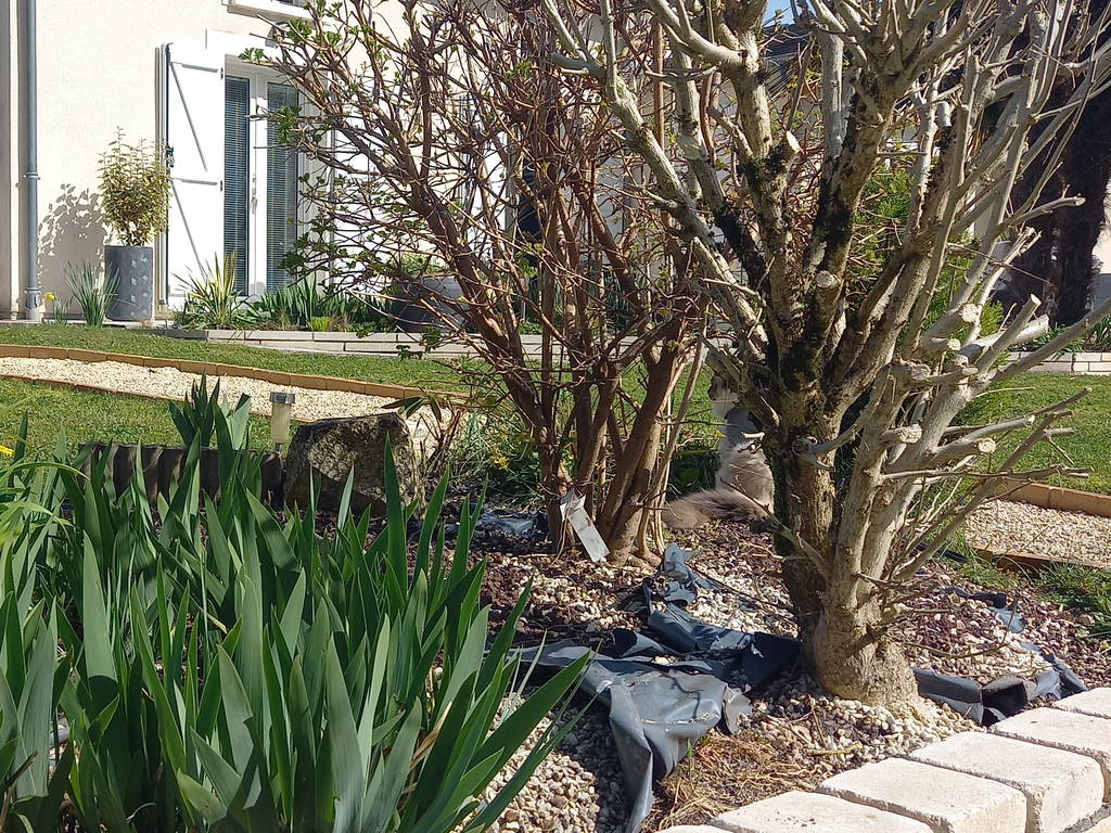 Homestay Bourges 262594-1