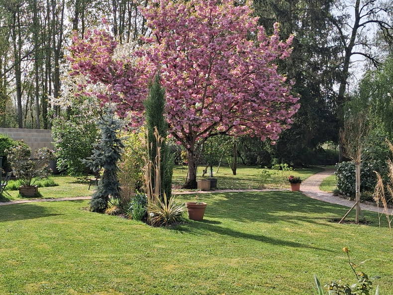 Homestay Bourges 262594-5