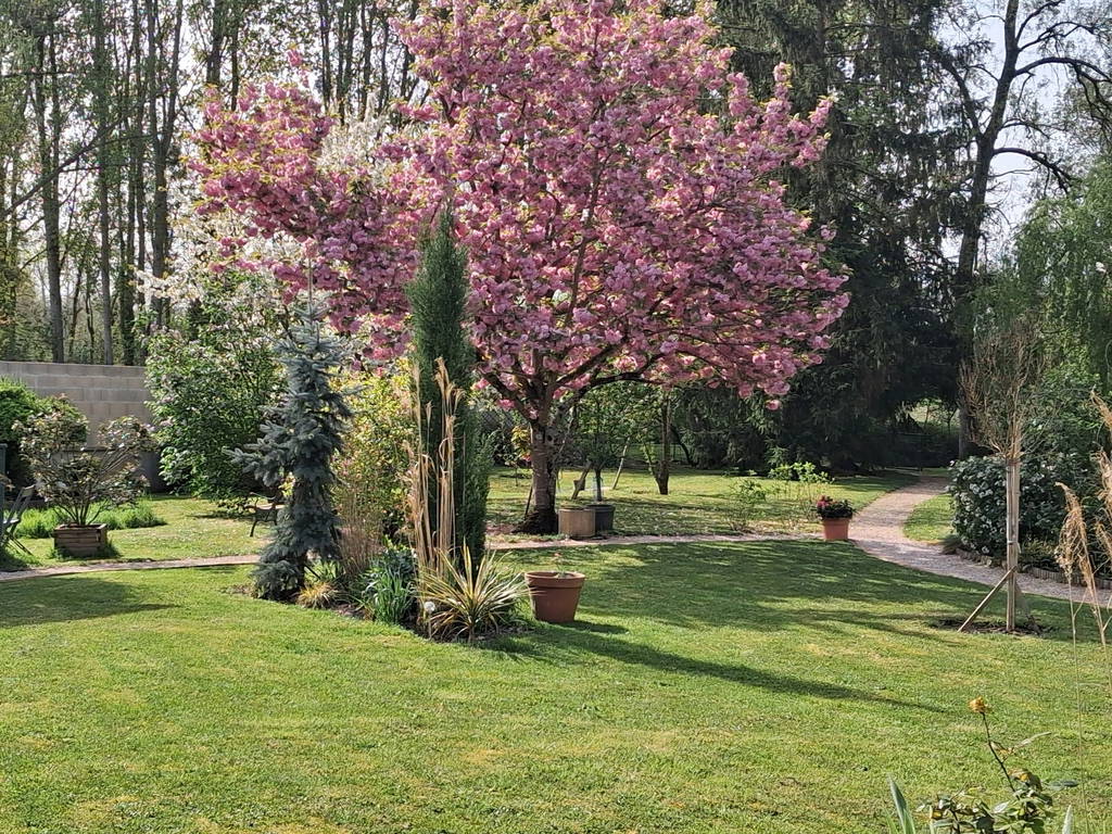 Homestay Bourges 262594-1