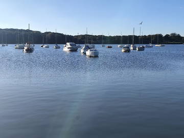 Quedarse En Casa Carquefou 443573-7