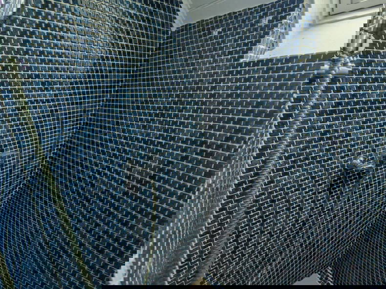 Gastfamilie Houilles 586986-5