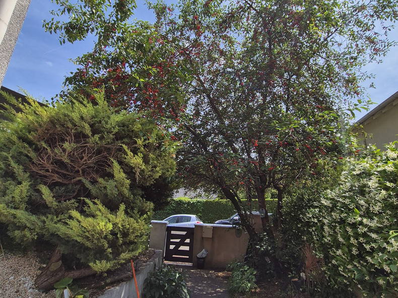 Gastfamilie Saint-Germain-en-Laye 645179-4