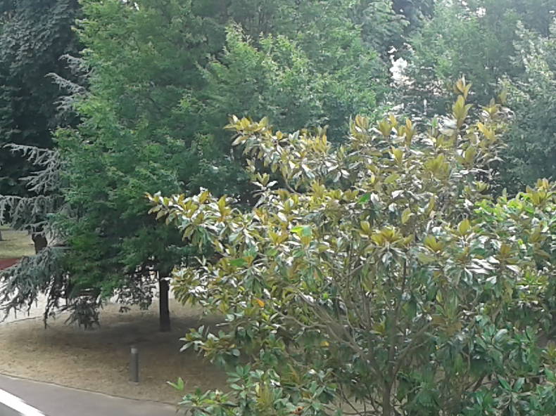 Gastfamilie Thiais 226352-1