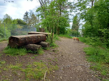 Shared housing for rent in Bron - photo 3 : Other room-3
