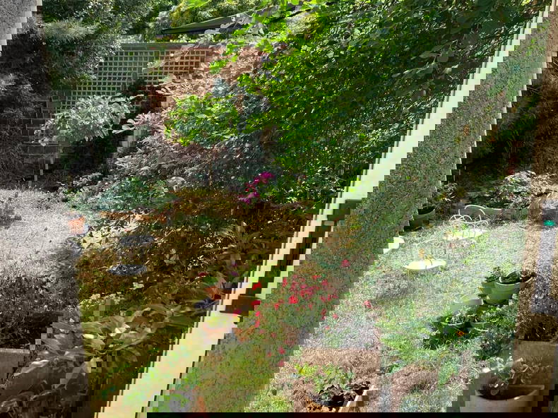 Gastfamilie Colombes 534362-5