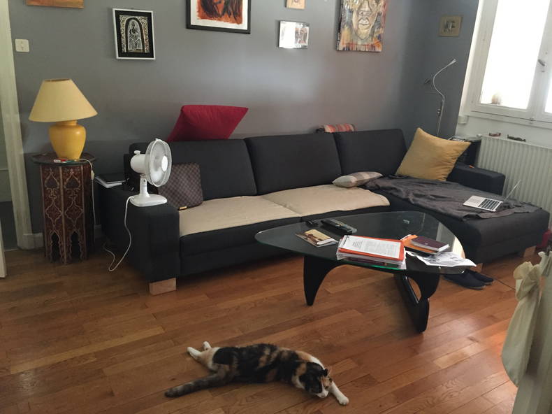 Chambre Chez L'habitant Lyon 108156-2