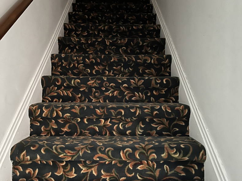 Kolokasie Montréal 647450-1