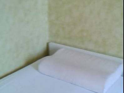 Colocation Angers 124045-2