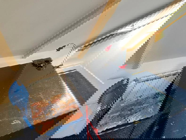 Quedarse En Casa Brest 590145-5