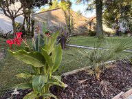 Gastfamilie Avignon 560258-2