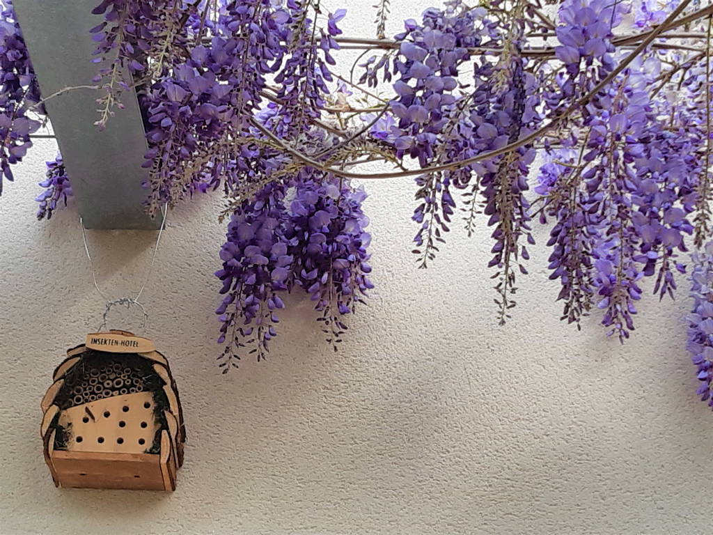 Homestay Pessac 235307-1