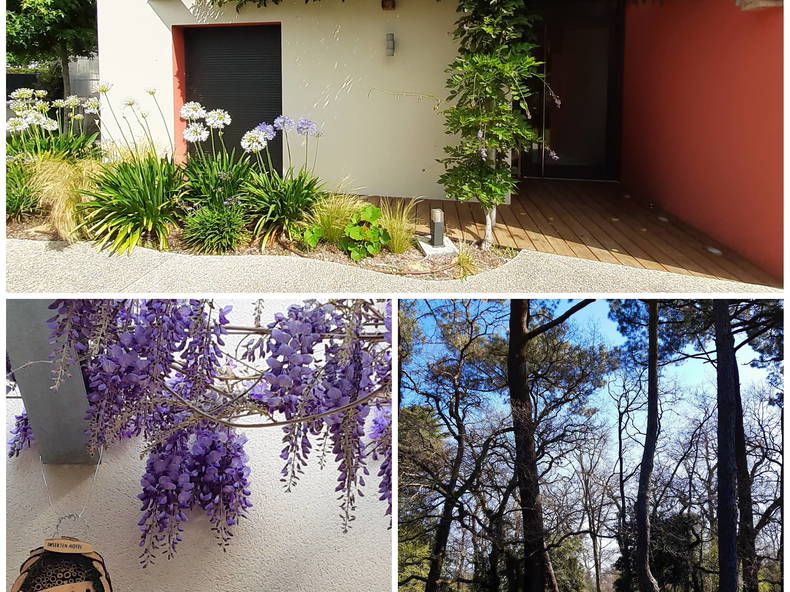 Hemvistelse Pessac 370166-3