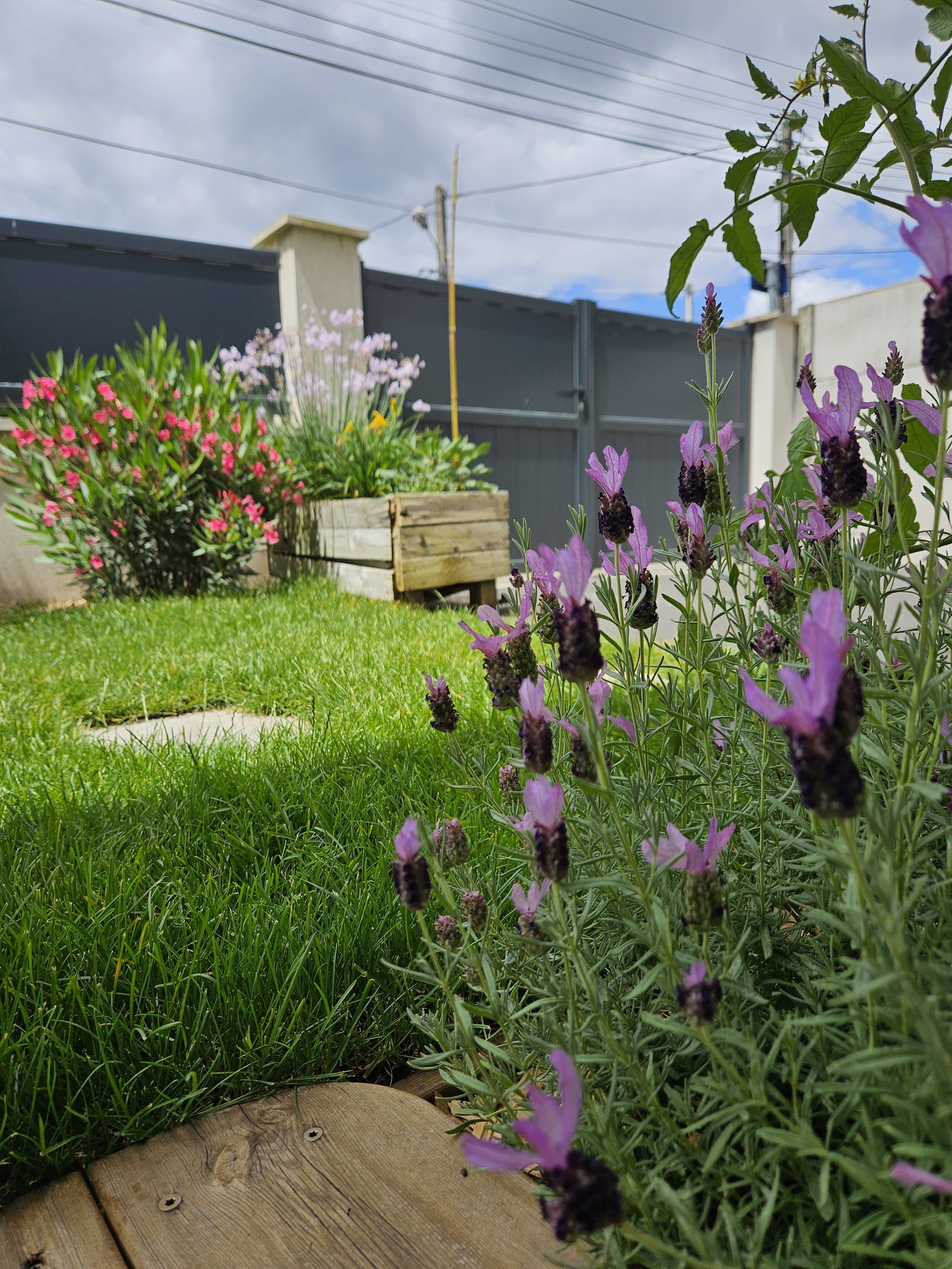 Homestay Pessac 370166