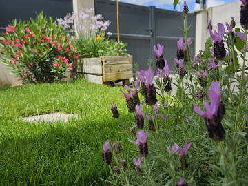Homestay te huur in Pessac - foto 2-2