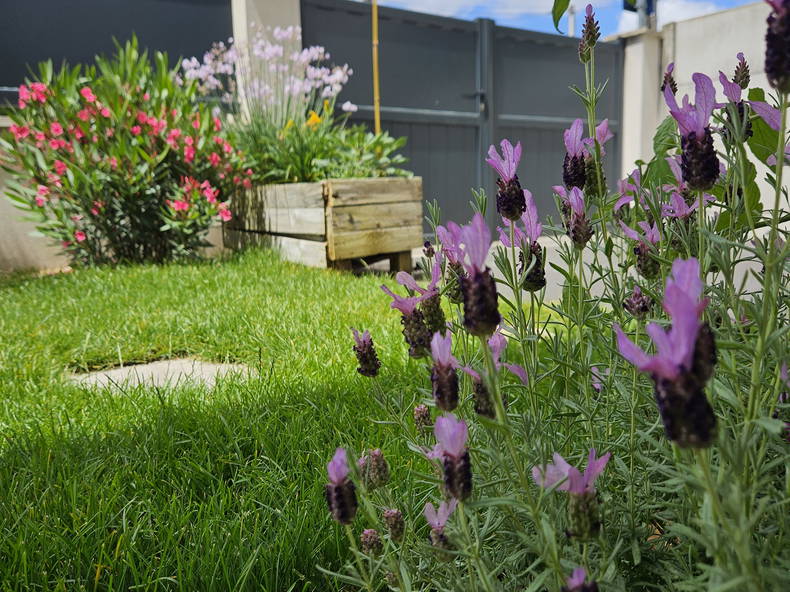 Homestay Pessac 370166-2