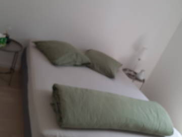 Unterkunft beim Gastgeber zu vermieten in Ris-Orangis - Foto 1-1