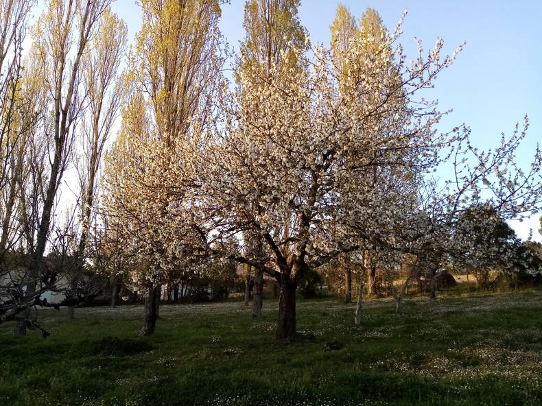 Chambre Chez L'habitant Castelnau-sur-Gupie 248193-3
