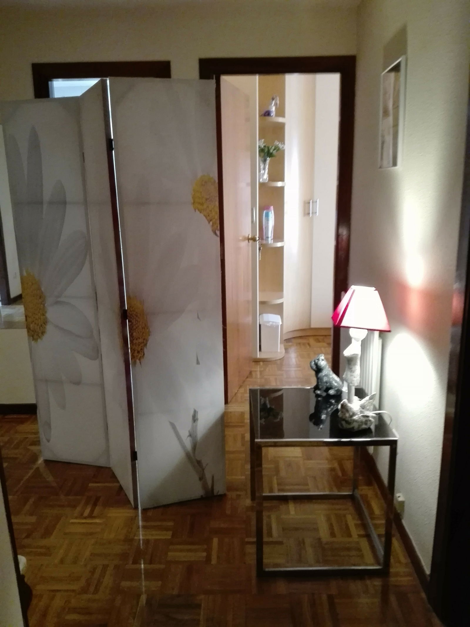 Colocation Donostia 206016