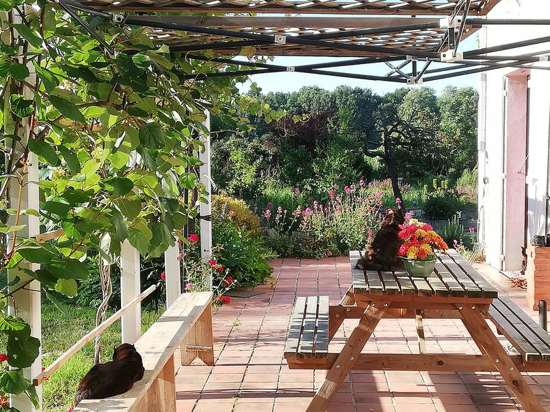 Gastfamilie Chaveignes 223422-2