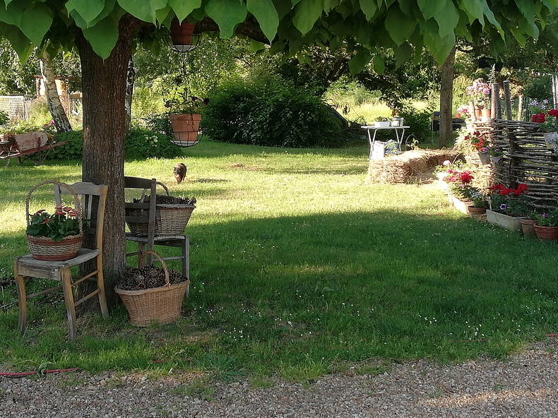 Gastfamilie Chaveignes 223422-5