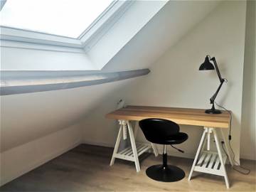 Colocation Roubaix 399500-4