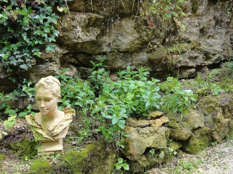 Chambre Chez L'habitant Lusignan 88789-4