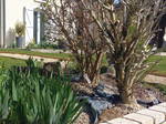 Homestay Bourges 262594