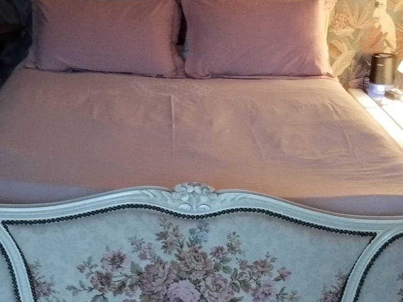 Habitaciones De Huéspedes Bellevigne-les-Châteaux 462549-4