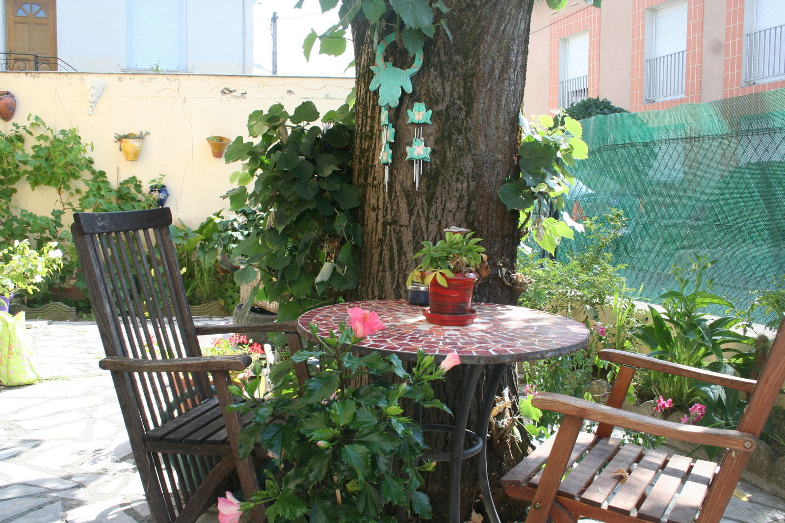 Homestay Toulouse 20875