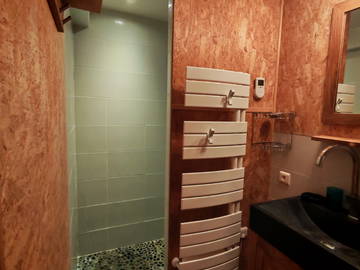 Chambre chez l'habitant à louer à Tignieu-Jameyzieu - photo 3 : salle de bain-3