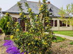 Homestay Montreuil-Bellay 545463
