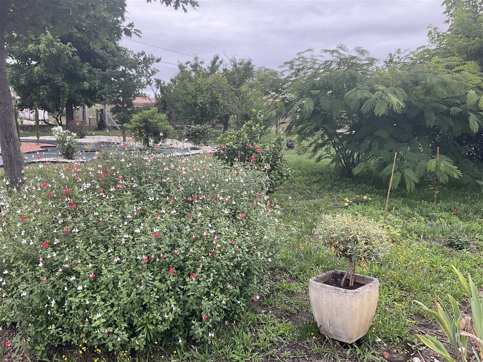 Homestay Langon 250646