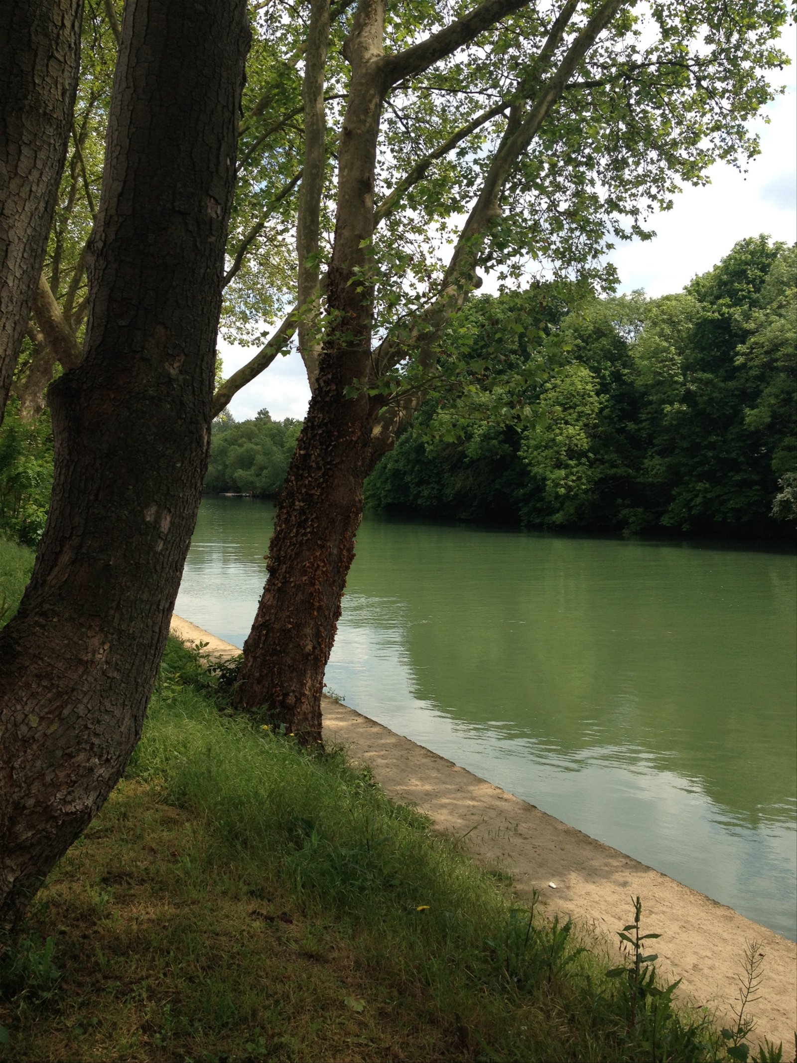 Oberoende Studio Champigny-sur-Marne 261902