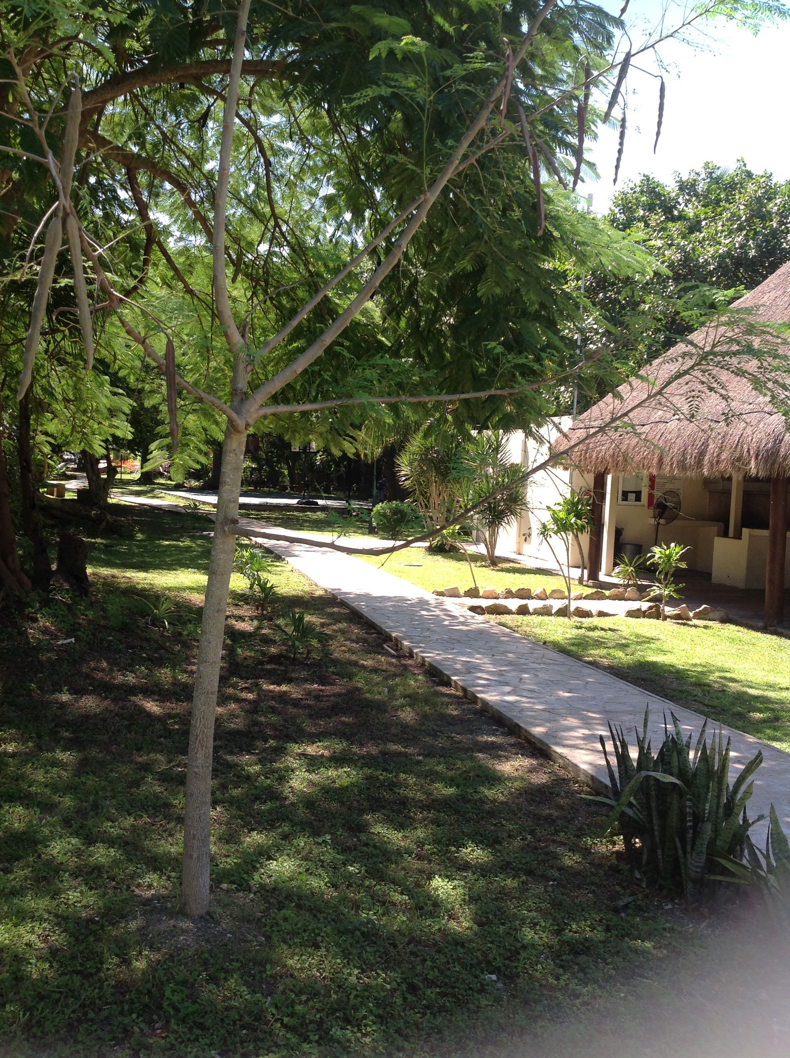 Gastgezin Playa del Carmen 255728