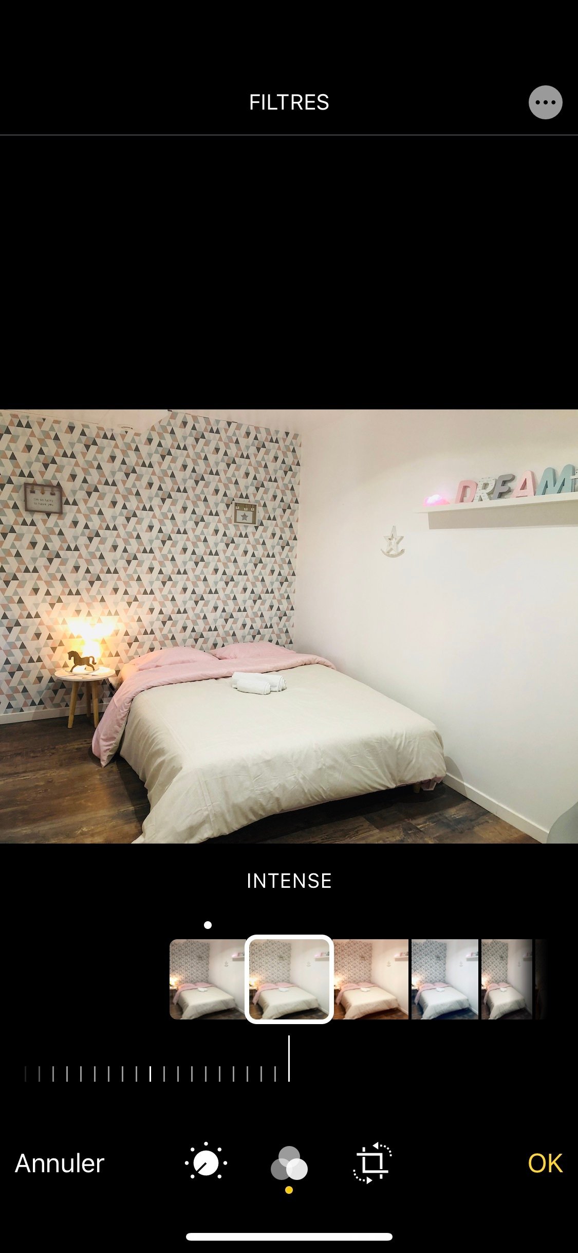 Studio Indépendant Saint-Jean-de-Thouars 250040