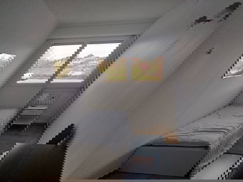 Colocación Ferney-Voltaire 541695-2