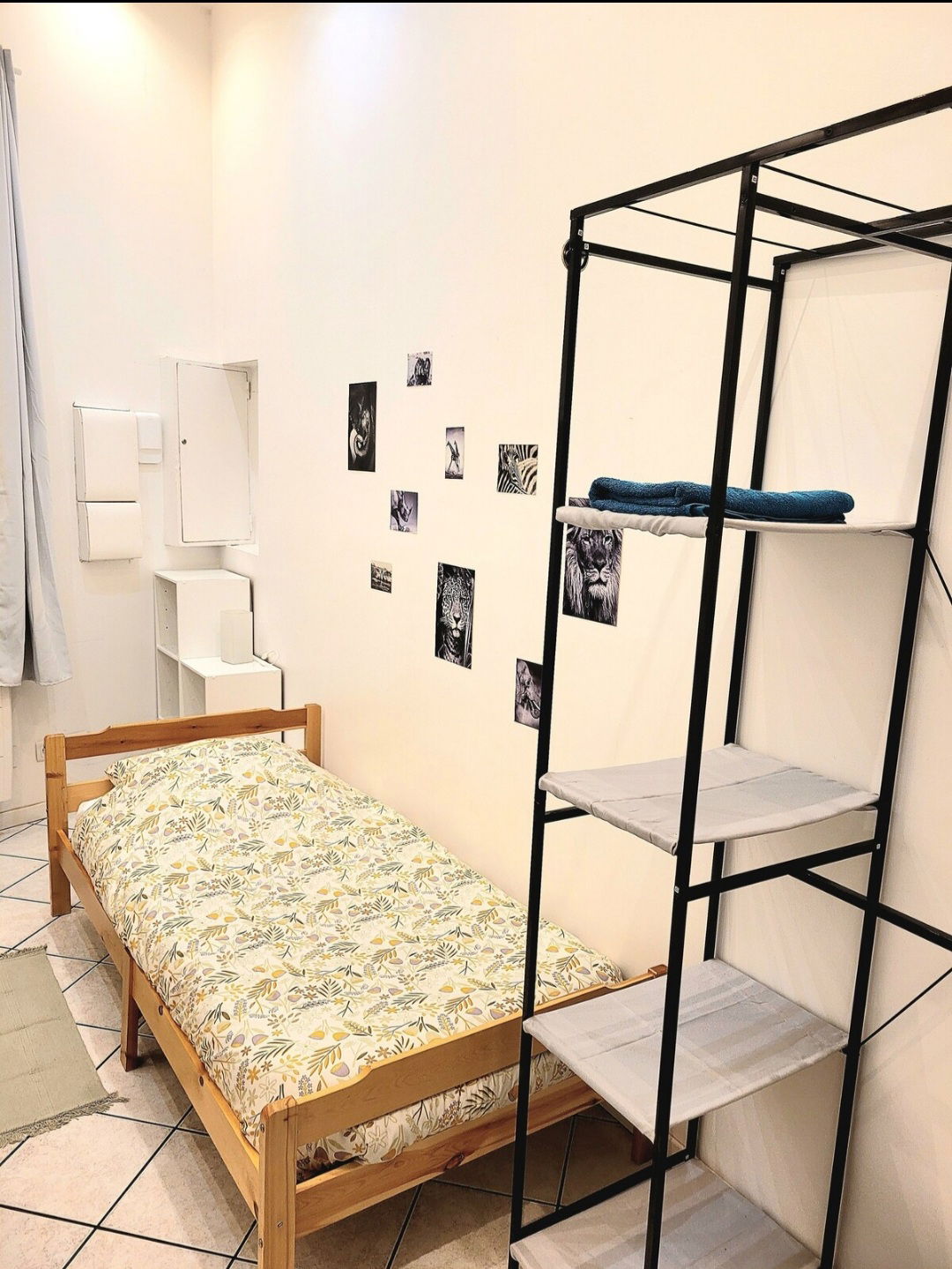 Colocation Wissous 648773