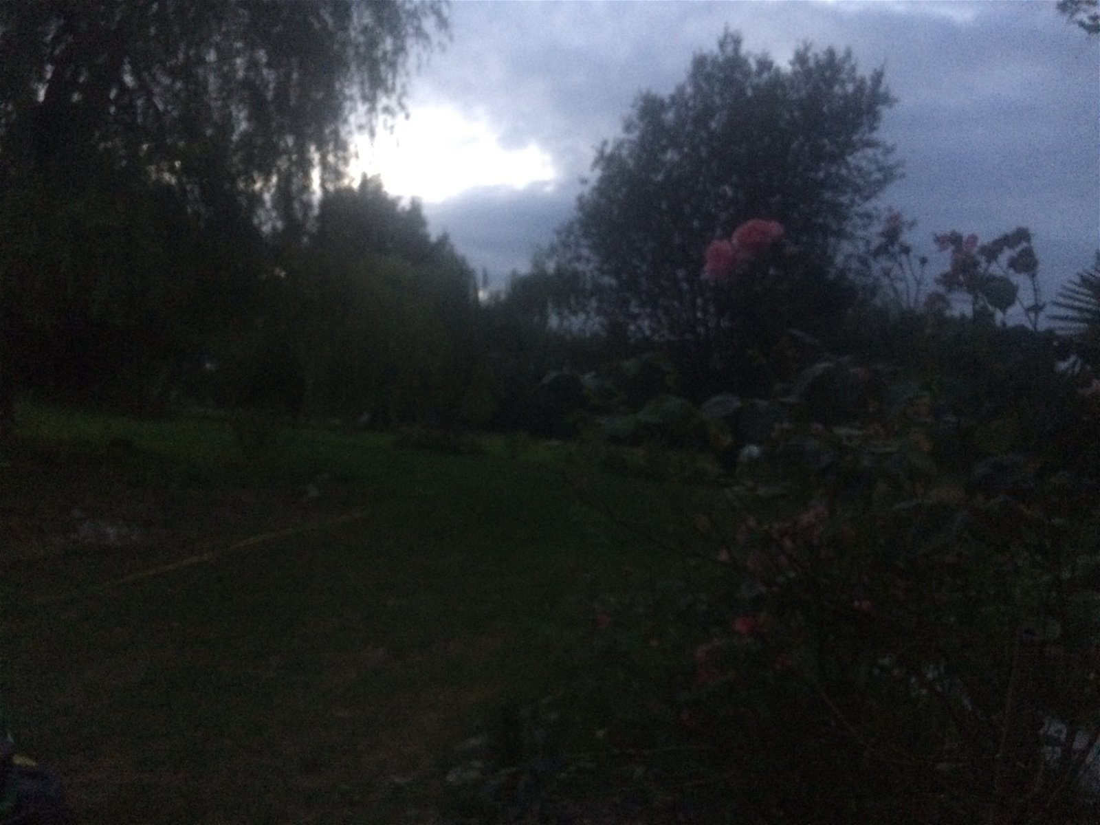 Gastgezin Lisieux 208998