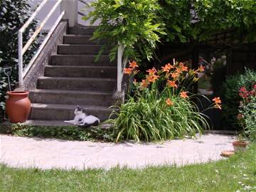 Chambre Chez L'habitant Antony 126711-7