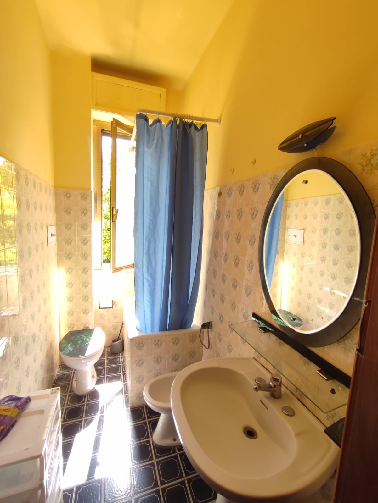 Coliving Piacenza 621317