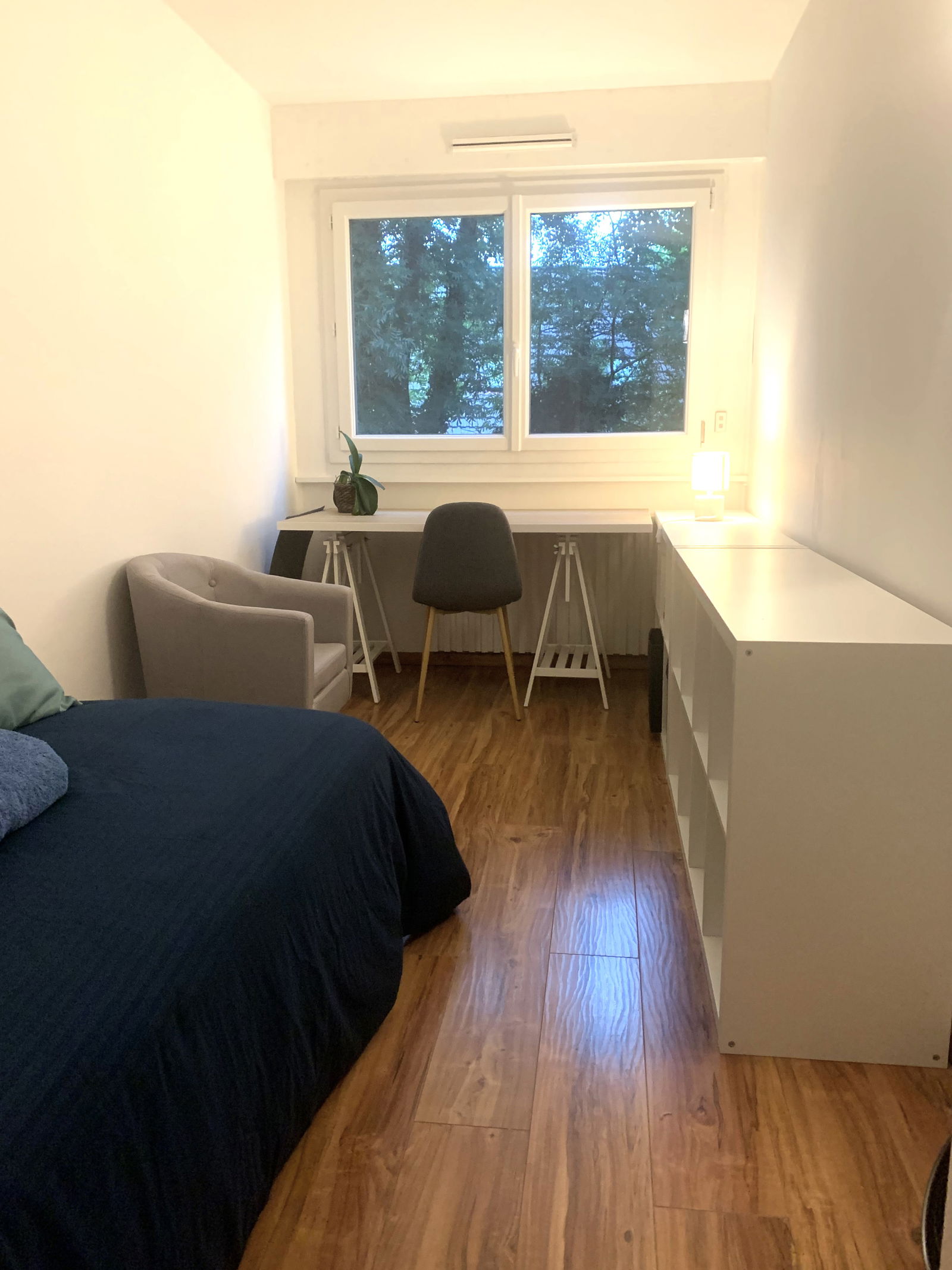 Colocation Ferney-Voltaire 256141