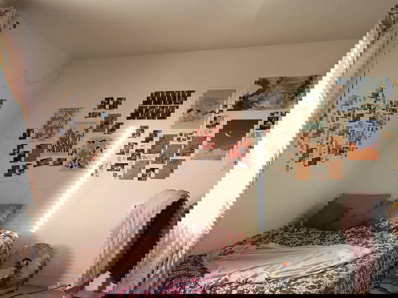 Kolokation Saint-Germain-en-Laye 476647-1