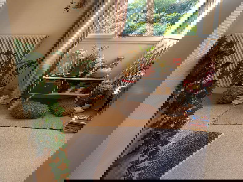 Kolokation Saint-Germain-en-Laye 476647-2