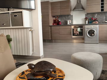Colocation à louer à Paris - photo 18 : autre pièce-18